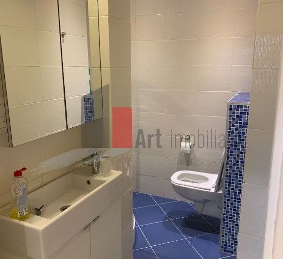Inchiriere 4 Camere Cismigiu - Kogalniceanu - Poză 8