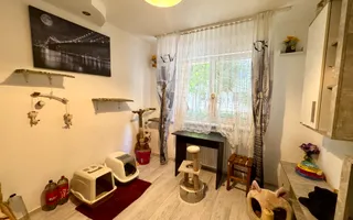 Apartament de vanzare 3 camere | Parter | Zona Micro 16 - Poză 17