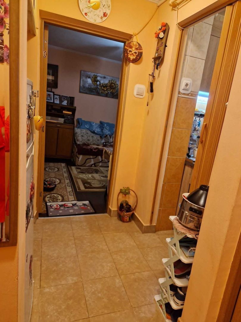 Apartament Moisil // Tei - Poză 4