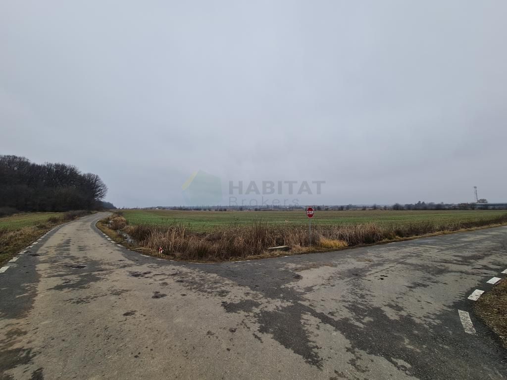 Teren | Poiana Ciolpani | Iris Orangerie - Poză 8