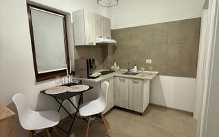 Garsoniera de inchiriat zona Damila Ford - Poză 5