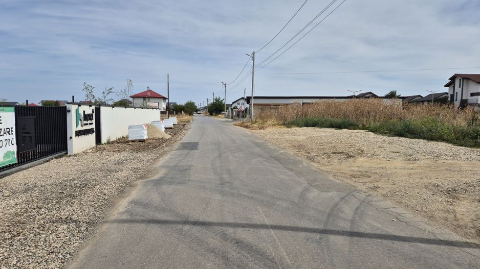 Teren intravilan 16.248 mp - Domnesti - Poză 2