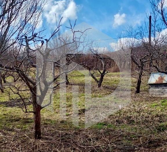 Casa de vanzare  in Talmacel-Teren 4000 mp cu livada+garaj - Poză 14