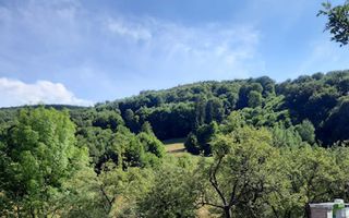 Teren 2.7ha- pretabil cabana/casa-Rebrisoara-EXCLUSIVITATE - Poză 2