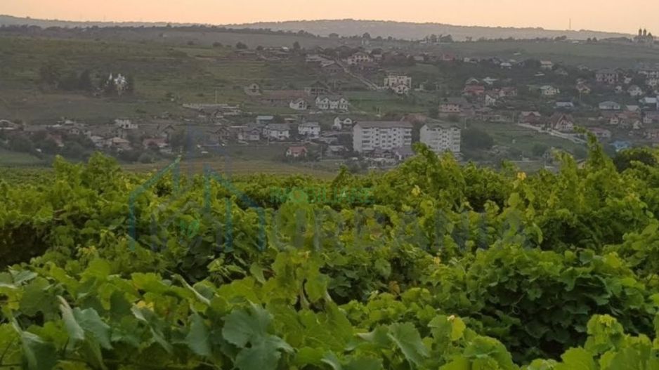 Teren intravilan 1.600 mp, Vișan, str. Al. Macedonski – ideal dezvoltare duplexuri/bloc - Poză 2
