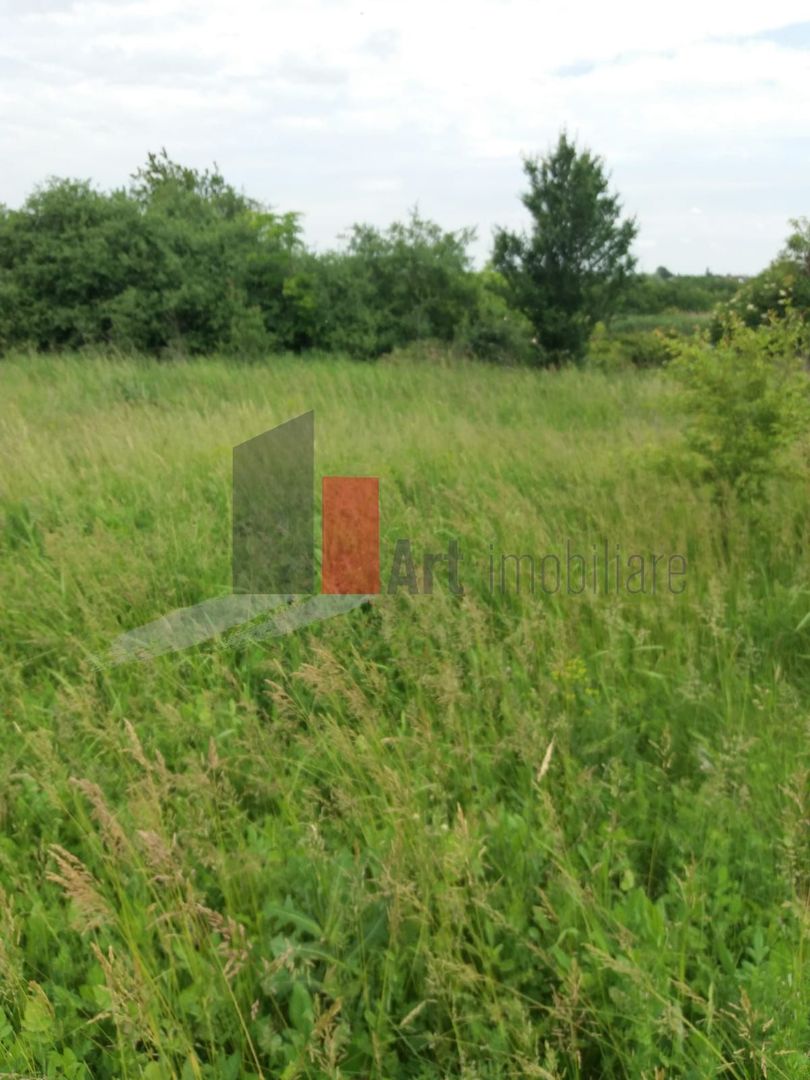 Teren Buftea cu iesire la lac - Poză 31