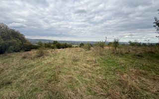 Teren de vânzare în Putna | 6.400 mp | 56 m front stradal - Poză 7
