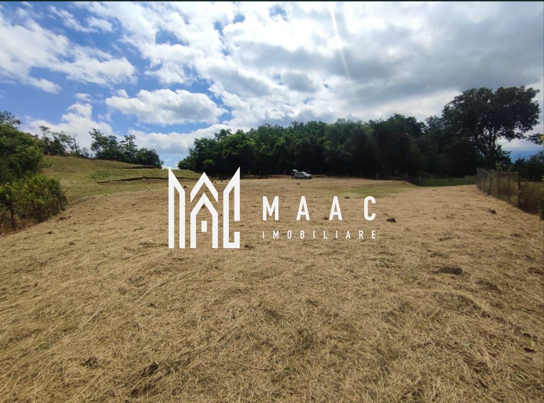 Teren intravilan | 3860 mp în Sărata | ideal pensiune sau resort - Poză 1