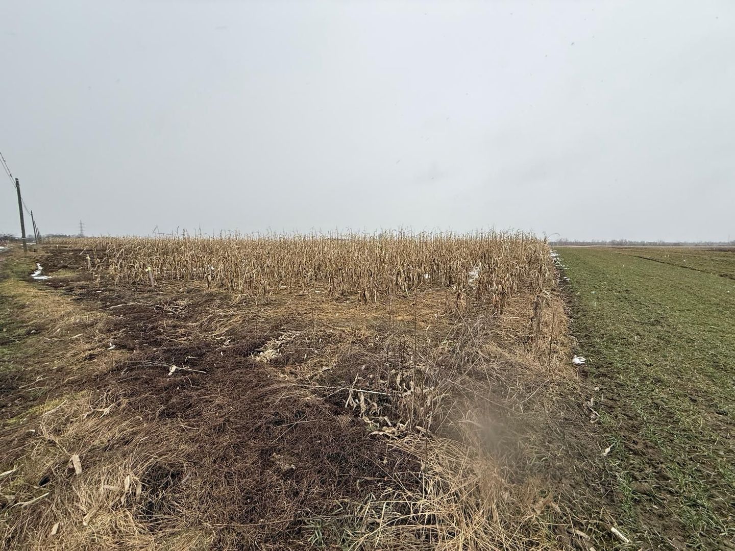 Teren extravilan | Gălănești | 7.276 mp | Front 29 m - Poză 4