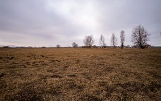 10.000 mp de teren intravilan, Brasov - Poză 5