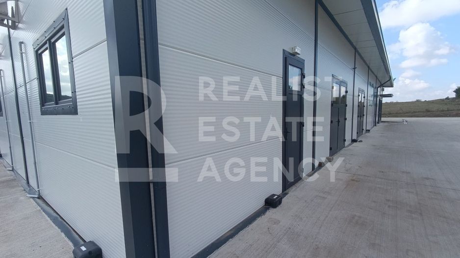 Spațiu comercial, producere+plantație de aronie, Timiș - Poză 2