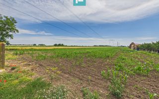 Teren extravilan 5000 mp, Arad - Poză 9