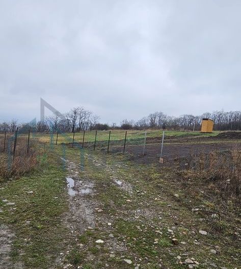 Teren intravilan 656 mp + acces, lângă pădure – Chicerea - Tomești - Poză 3