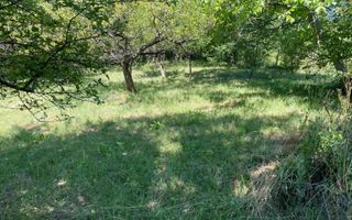 Teren intravilan 650- 669 mp de vânzare – Strada Dâmbului Bistrita - Poză 3