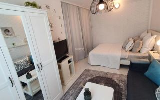 Garsoniera- Banu Manta, Kiseleff - Poză 4