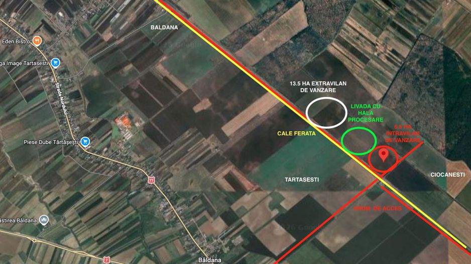 Teren intravilan arabil | Tartasesti | Baldana | Db 6,6 ha - Poză 1