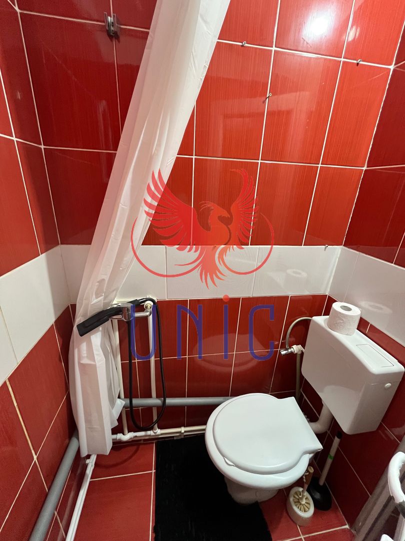 Camera de camin Lapus - 39 300 Euro - Poză 6