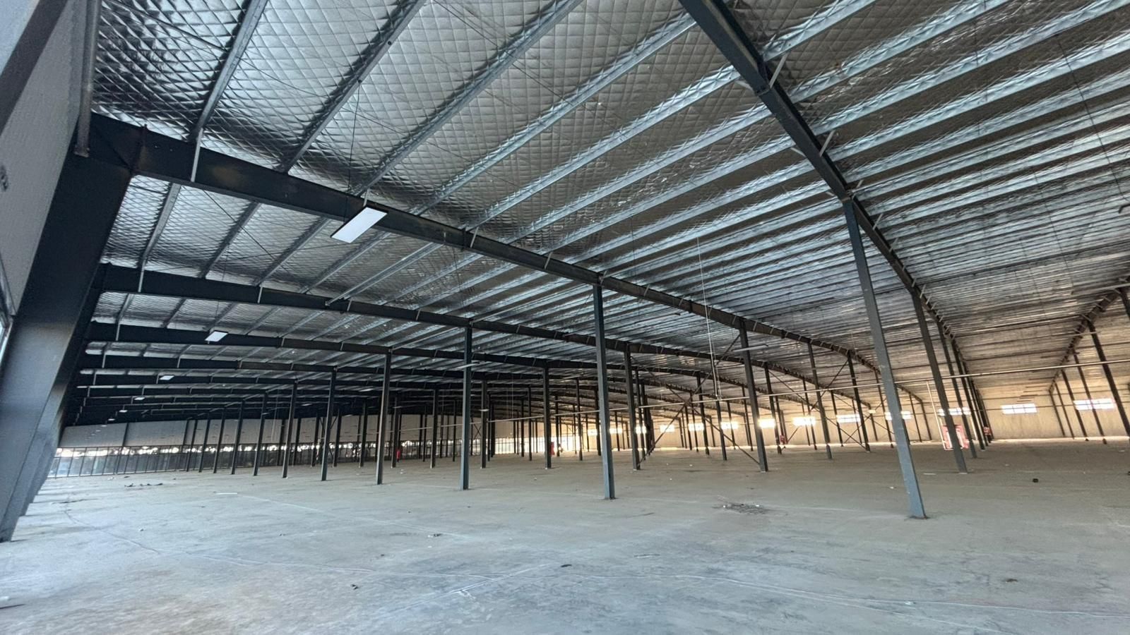 Spatiu depozitare | Industrial | Camera Frig | Afumati | Tir - Poză 2