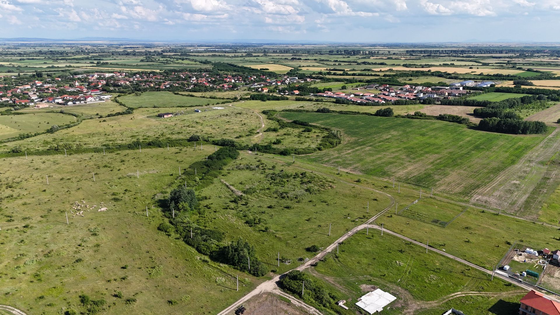 Terenuri zona  MOSNITA NOUA -  ALBINA . - Poză 31