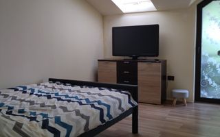 Cabana 160 mp-teren 5 ari-Foisor cu barbecue-La cheie-Colibita - Poză 4