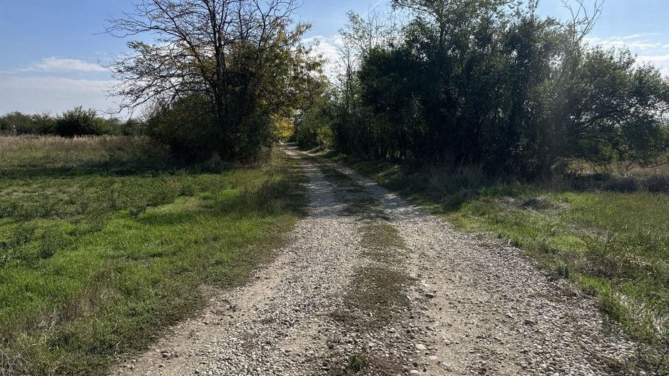 Teren intravilan 3700 mp la 28 km de Pitesti  - zona linistita - Poză 3
