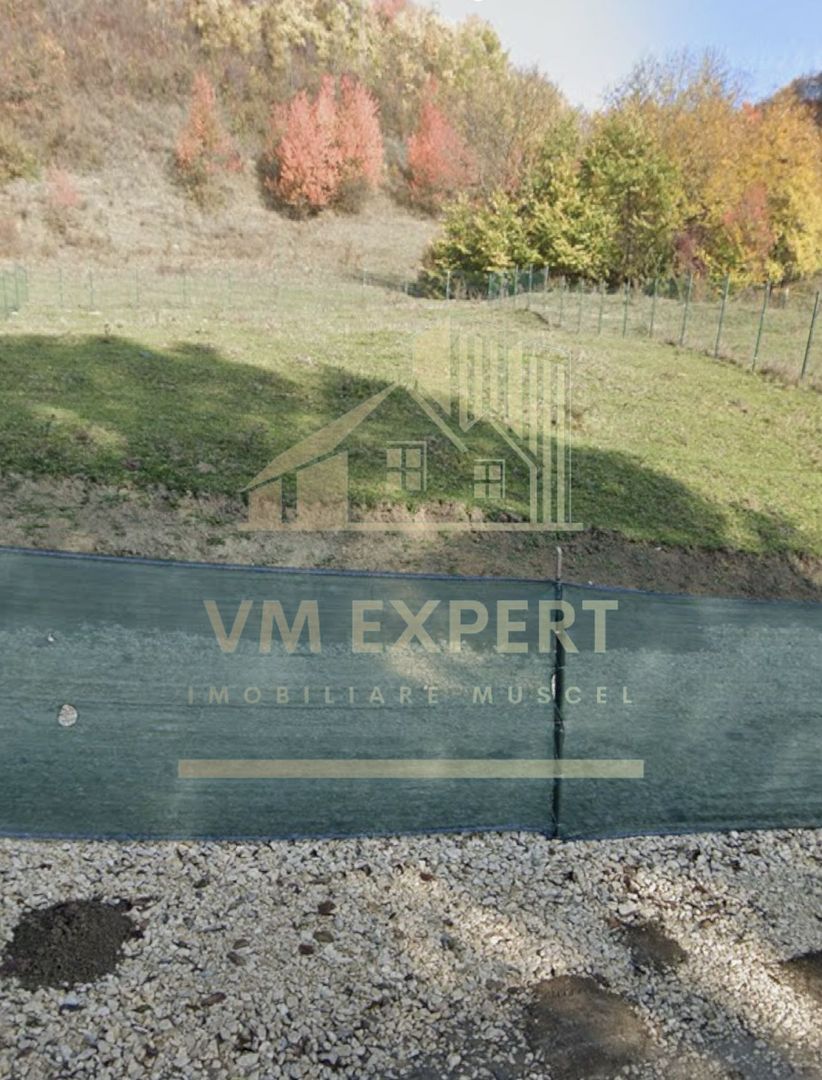 TEREN INTRAVILAN 832 MP VALEA ROMANEȘTILOR CAMPULUNG ARGEȘ - Poză 1