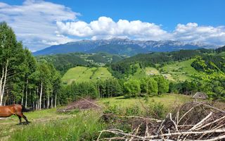 Teren Drumul Carului, Moieciu Suprafață: 29.595 mp | Intravilan - Poză 4