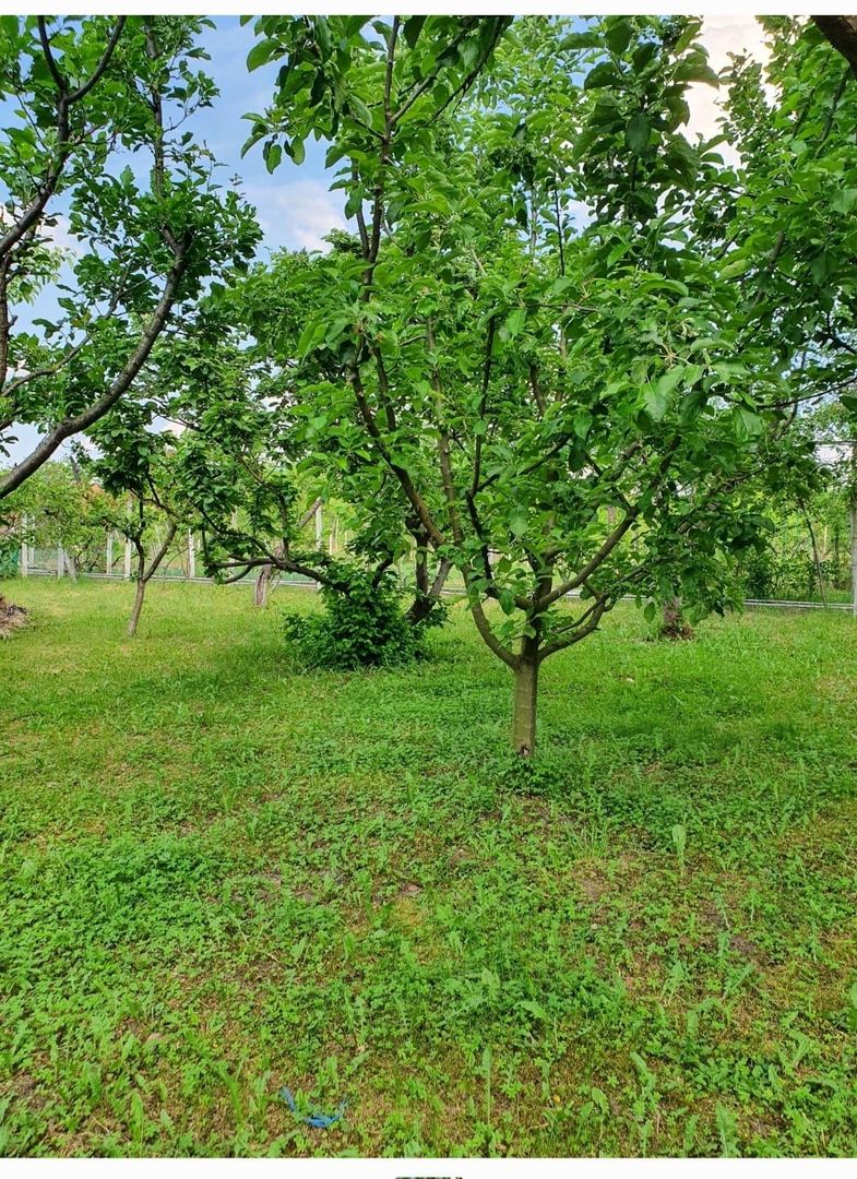 Casa | 9 camere | Garaj | Piscina | Teren 3.000 mp | Comision 0% - Poză 4