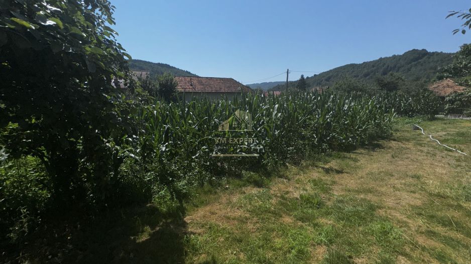 CASA 3 CAMERE, TEREN 1069 MP, COMUNA STOENESTI, ARGES - Poză 22