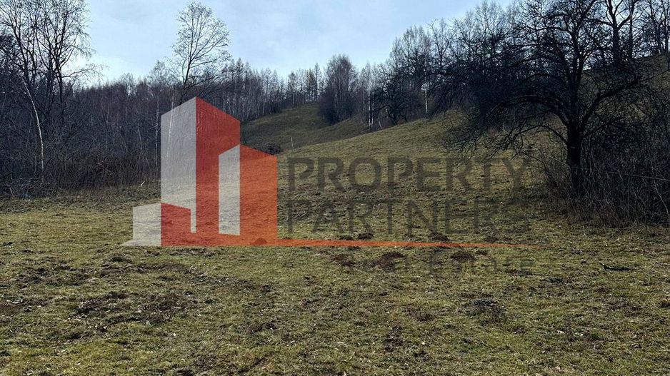 Casă autentică cu teren de 11.150 mp – Bran, Șimon | vedere Bucegi - Poză 10