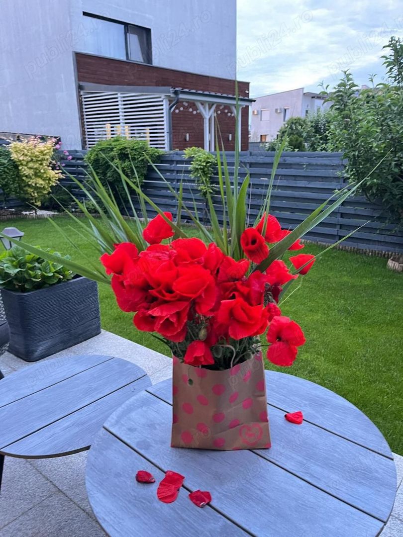 Vila curte individuala, Tunari - Poză 3