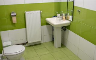 Vila spatioasa pt doua familii 10 camere Clinceni Monumentul Eroilor - Poză 14