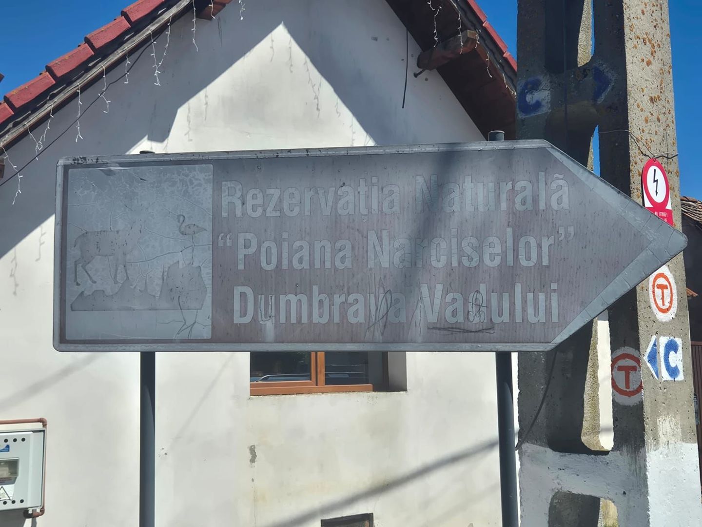Exclusivitate - La 4 km de Poiana Narciselor, teren intre case, cu utilitati. - Poză 8
