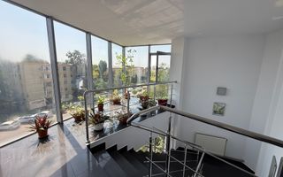 Spațiu comercial și birouri de închiriat –  Bd. N. Titulescu, Craiova - Poză 2