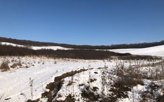 Teren 10000 si o parcela de 50 ari-oportunitate investitie-Jelna - Poză 3