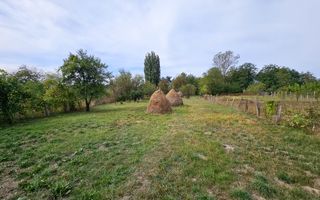 Casa cu 4 camere, 2024 mp teren, la asfalt, cu utilitati, Vintu de Jos - Poză 4