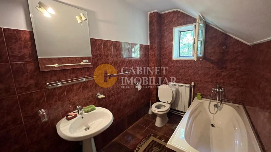 PROPRIETATE EXCLUSIVISTA 390 MP - 2000MP teren Popas Pacurari Garaj Beci - Poză 25