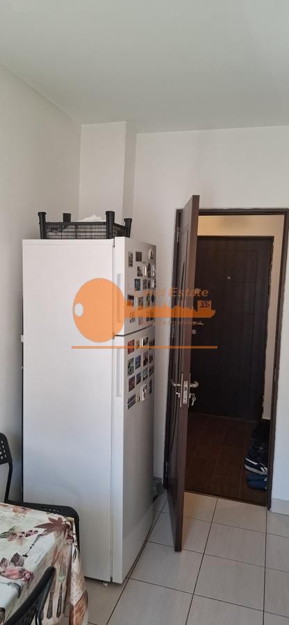 Apartament cu 2 camere in zona Teiul Doamnei - Poză 7