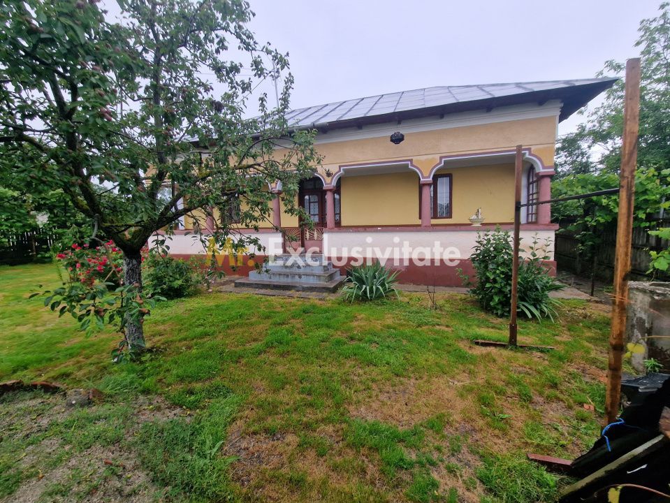 Gospodarie autentic romaneasca-Lunca Corbului, Ciesti! - Poză 2