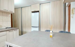 Oferim apartament cu 1 camera, langa Iulius Mall, centrala proprie pe gaz - Poză 16