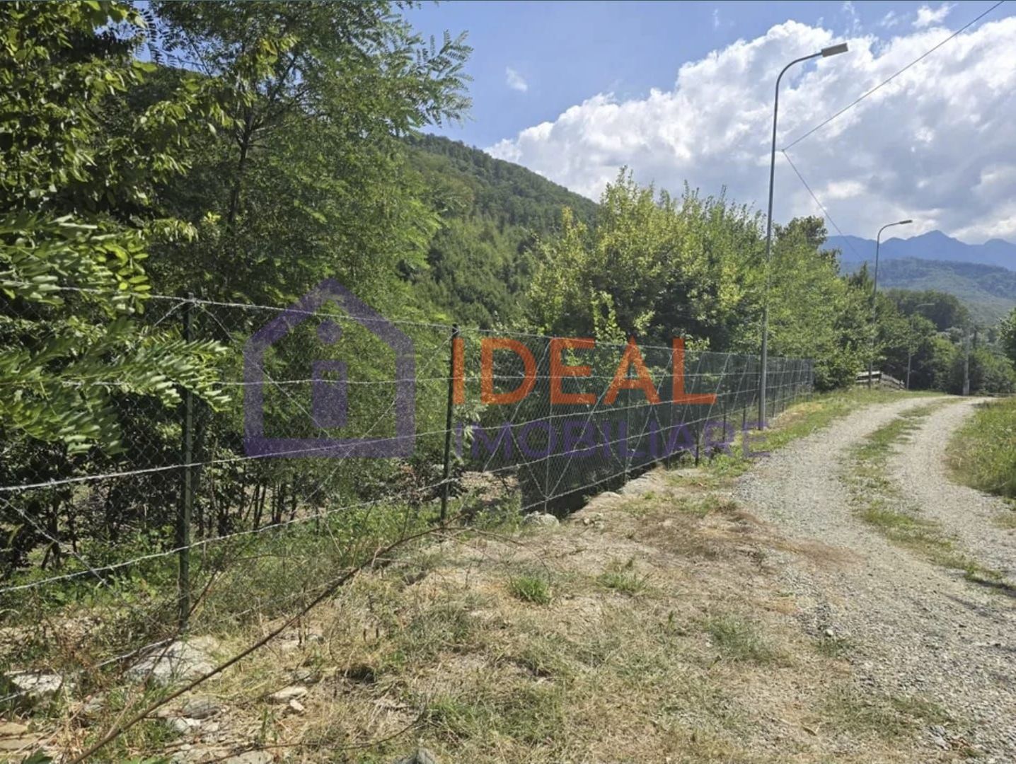 Teren extravilan 2.300 mp – Cârțișoara, județul Sibiu - Poză 5