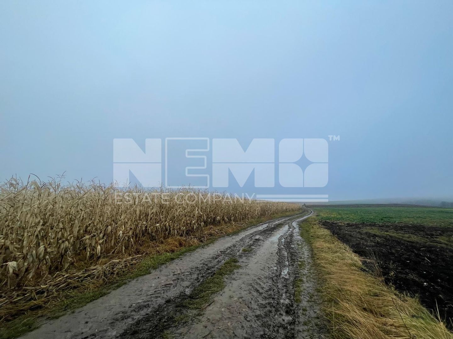 TEREN EXTRAVILAN | DOUA PARCELE| 70 ARI| IDEAL AGRICOL| CALAFINDESTI - Poză 9