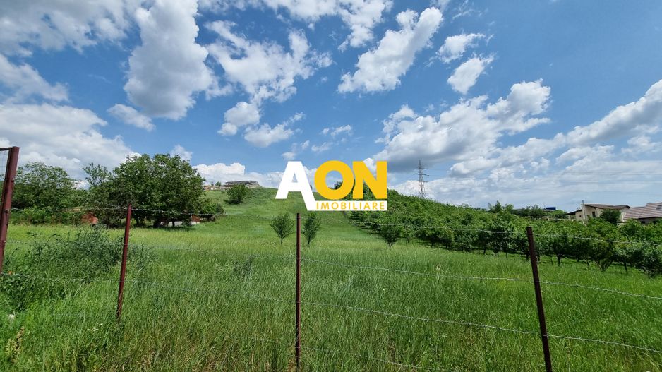 De vanzare 998 mp teren intravilan, Cetate - Poză 1