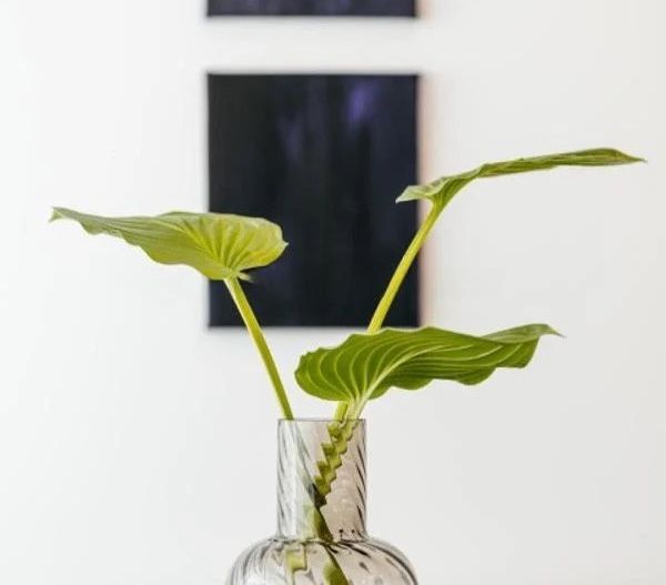 Apartament 2 camere | One Cotroceni | Prima închiriere | Parcare - Poză 15