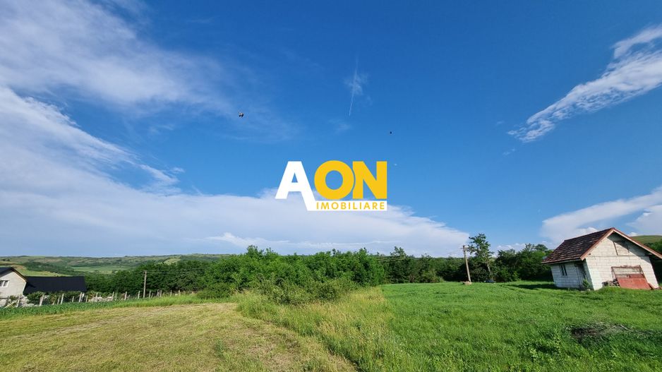 De vanzare 1974mp teren intravilan, cu utilitati, Oarda de Sus - Poză 3