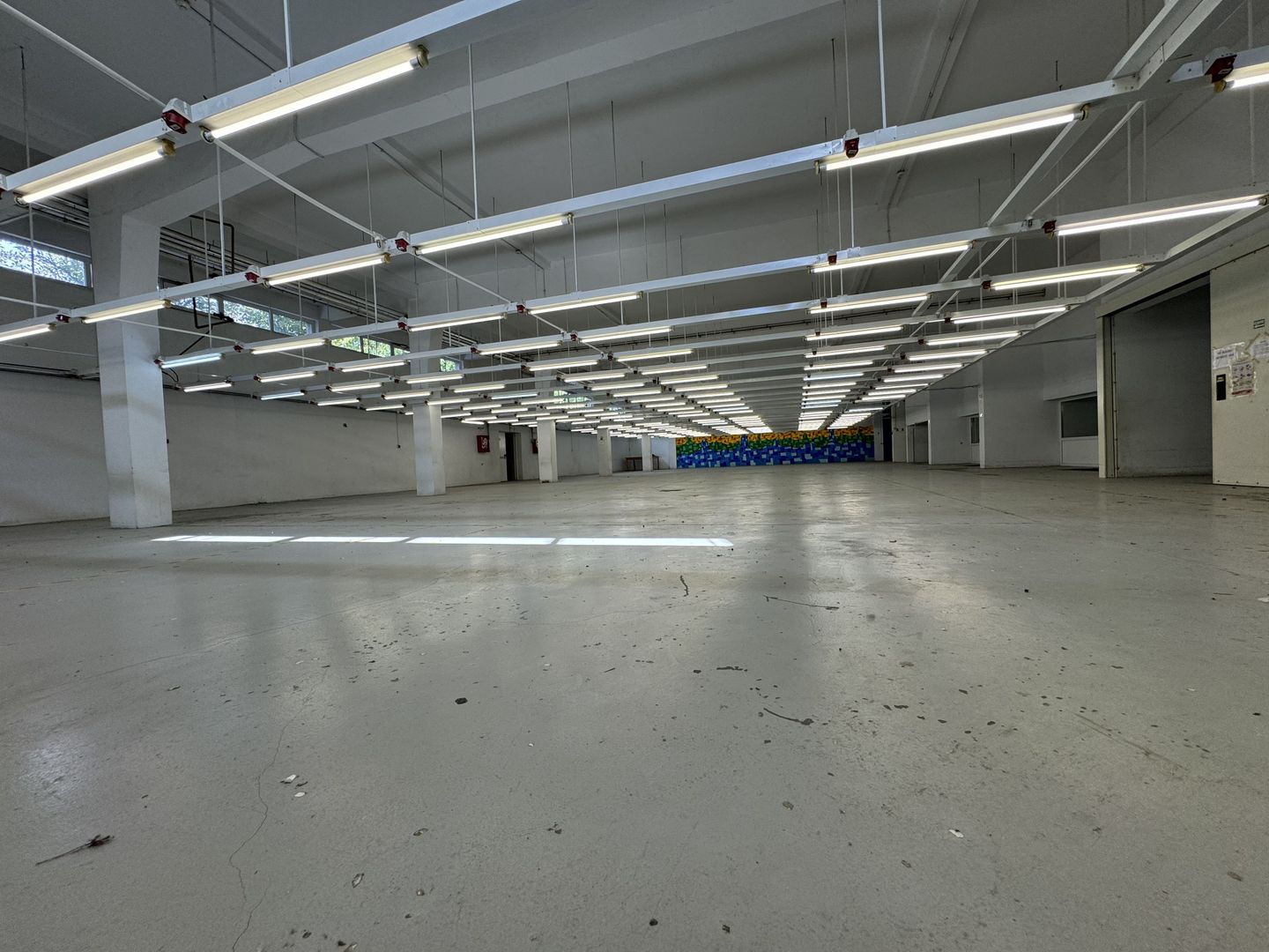 Hala productie P+1 si apartament de serviciu Navodari - c-tie beton - Poză 4