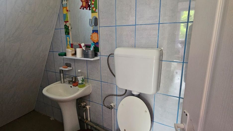 Casă de vânzare la liziera pădurii – Comuna Bogați, Argeș - Poză 5