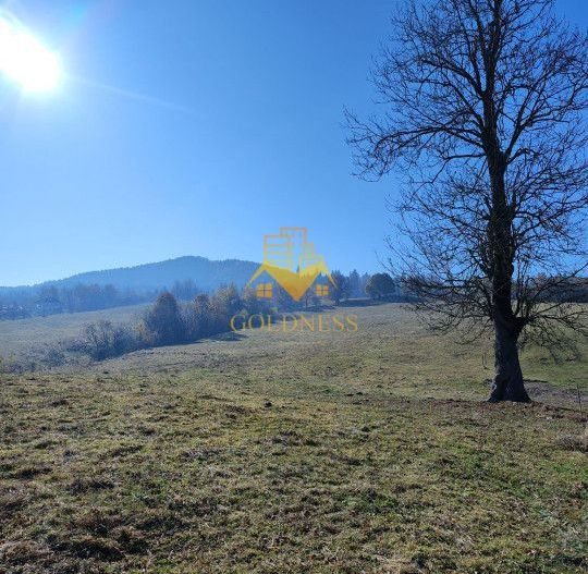 Teren de vanzare, intravilan, 16667 mp, Abrud, Jud. Alba - Poză 2