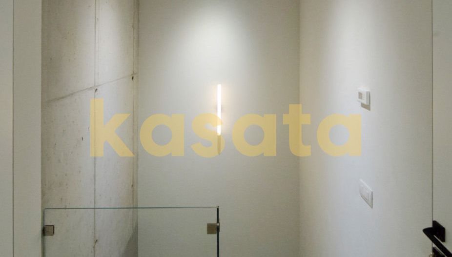 ULTRACENTRAL | DUPLEX EXCLUSIVIST | CURTE PROPRIE | DOROBANTI - Poză 7