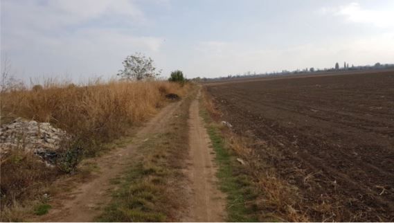 Teren Braila / Centura - Poză 2